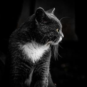 ����: ����� ���������� 