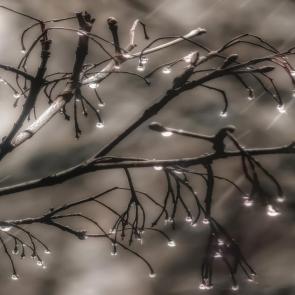 ���� ��������: �����.