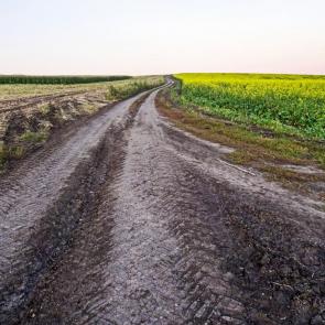 ����: ������� ������.