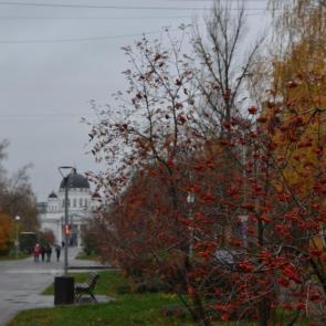 � ������� ��� ������ ������