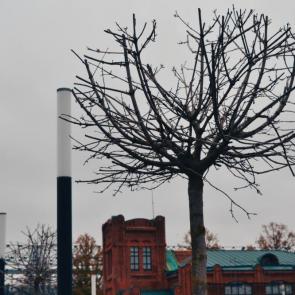 ����: ��