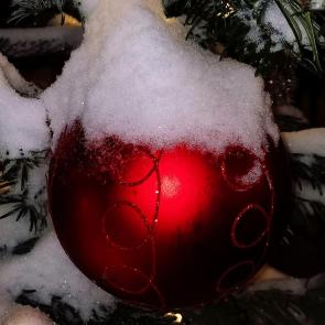 ����: ������ ���