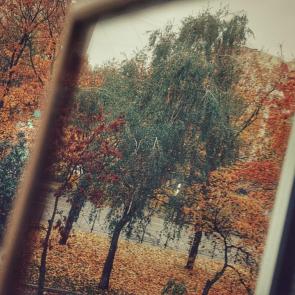 ����: ����� � �������