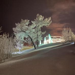 ����: ���� ����������