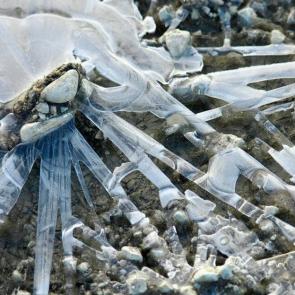 ���� ��������: ��� �� ����������� ������