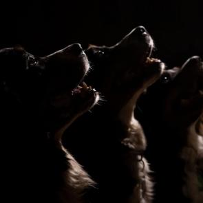 ����: ����� �����