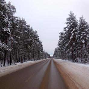 ����: � ����