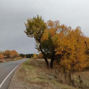 ����: ������� �������� ������