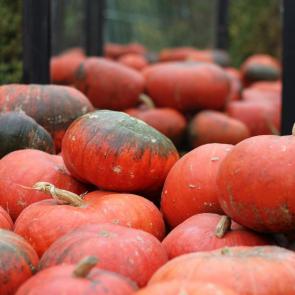 ����: ������� ������