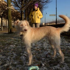 ����: ����� �����