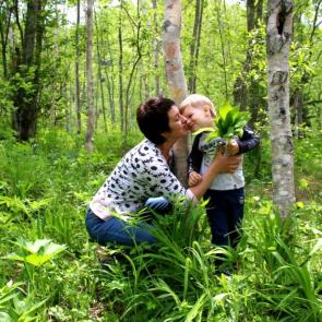 ����: ������������ �������� 