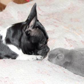 ����: �� �����?