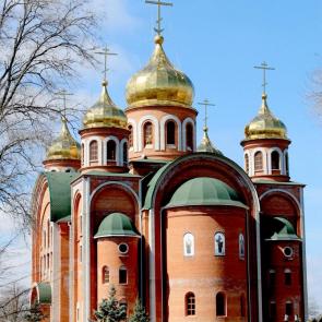 ����: �����