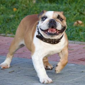 ����: �� ������