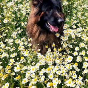 ����: ������� �������