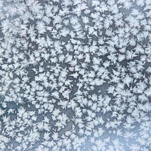 ����: �������� �������