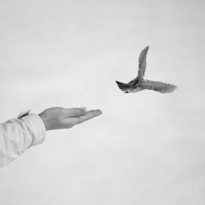 ����: ����, ������...