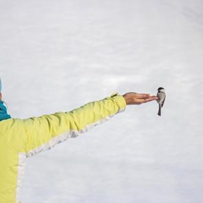 ����: ����� ������ � �����