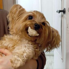 ����: ��������� ��������!