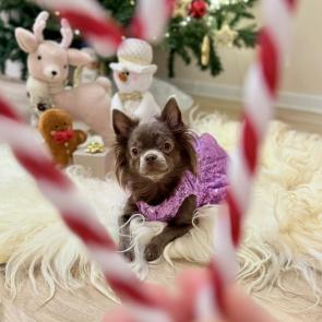 ����: ���� �����