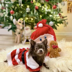 ����: ��������� ���� ������ ������ ������