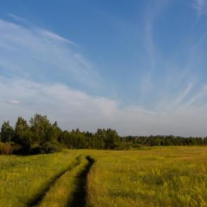 ����: ������ �������