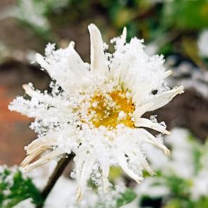 ����: ����� �������� ���������