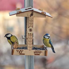 ����: ������ � ���������. 