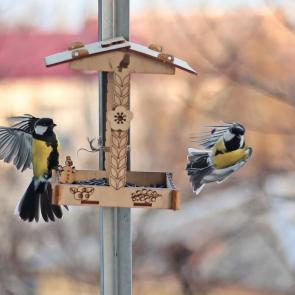 ����: � ��������. 