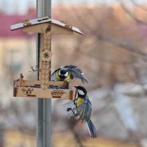 ����: �� �����. 