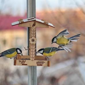 ����: � �������� �� �����. 