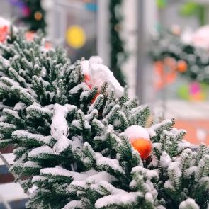 ����: �������� �����1