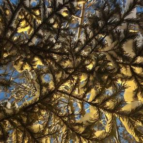 ������ ���������������