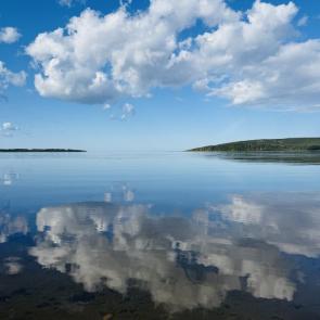 ����: ������� ����