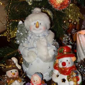 ��������� ����������� ���������