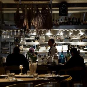 ����: �������� 