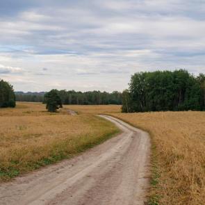 ���� ��������: 