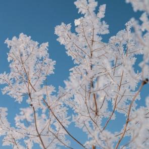 ������ ���������������