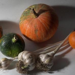 ����: ������� ������.