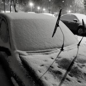 ����: ������ ����