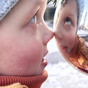 ��������� � �������