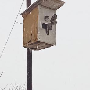 ����: �������, ���� ��������! 