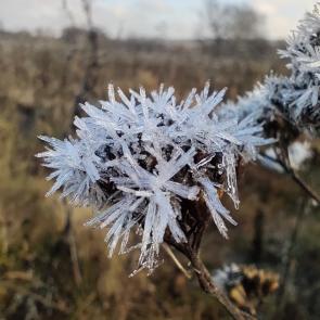 ������ ���������������