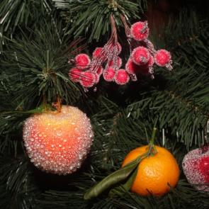 ������ �������������