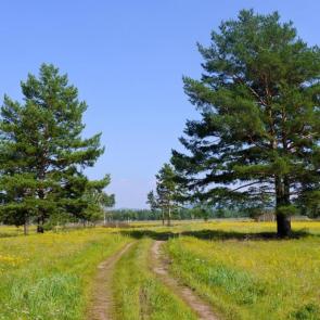 ����: ������ ������ 