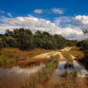 ����: ������ � ������� 