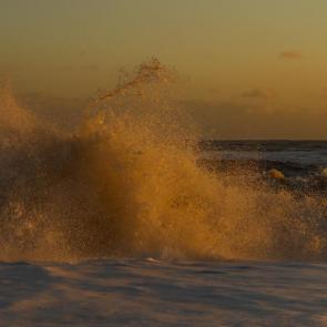 ����: ������� ����