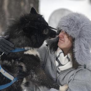 ����: �����������