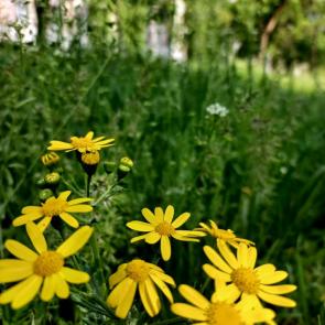 ����: ������� �������