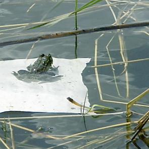 ��������� ������� ����